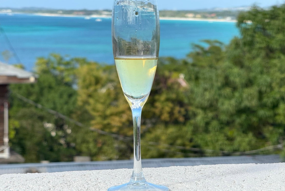 Tenth image of Negril in Negril, Westmoreland, Jamaica - property is For Rent