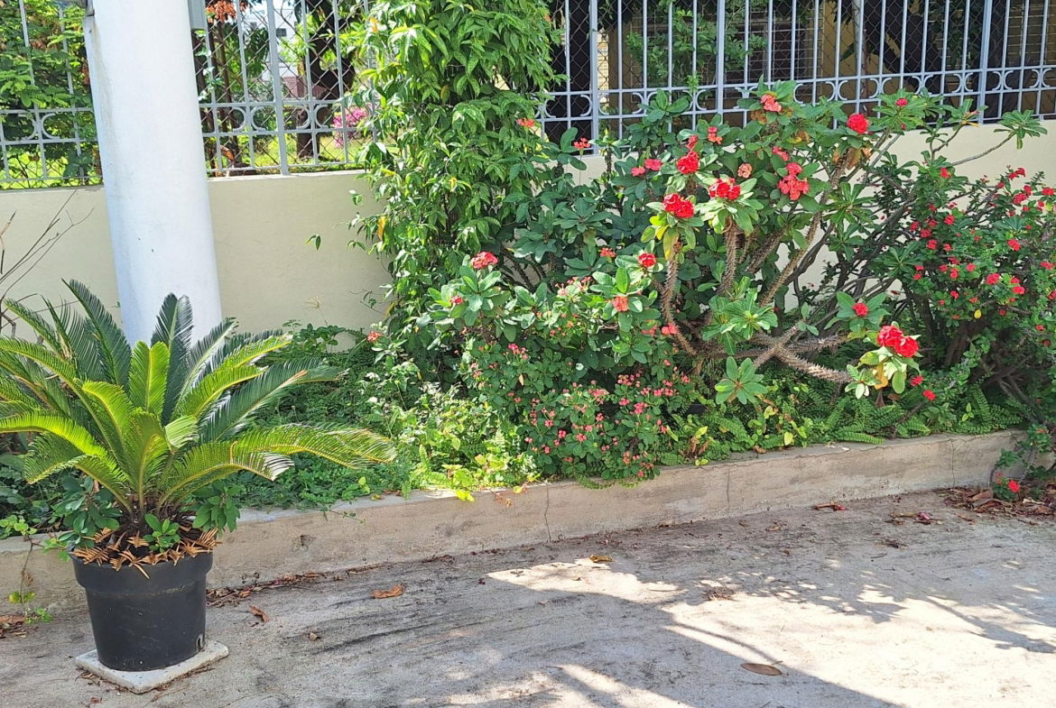 Third image of 1 West Vkings House Drive in Kingston 10, St. Andrew, Jamaica - property is For Rent