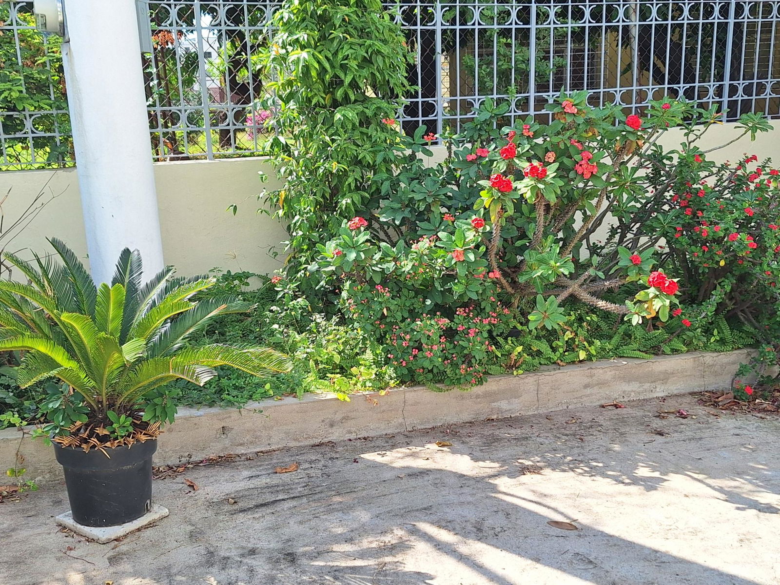 Third image of 1 West Vkings House Drive in Kingston 10, St. Andrew, Jamaica - property is For Rent