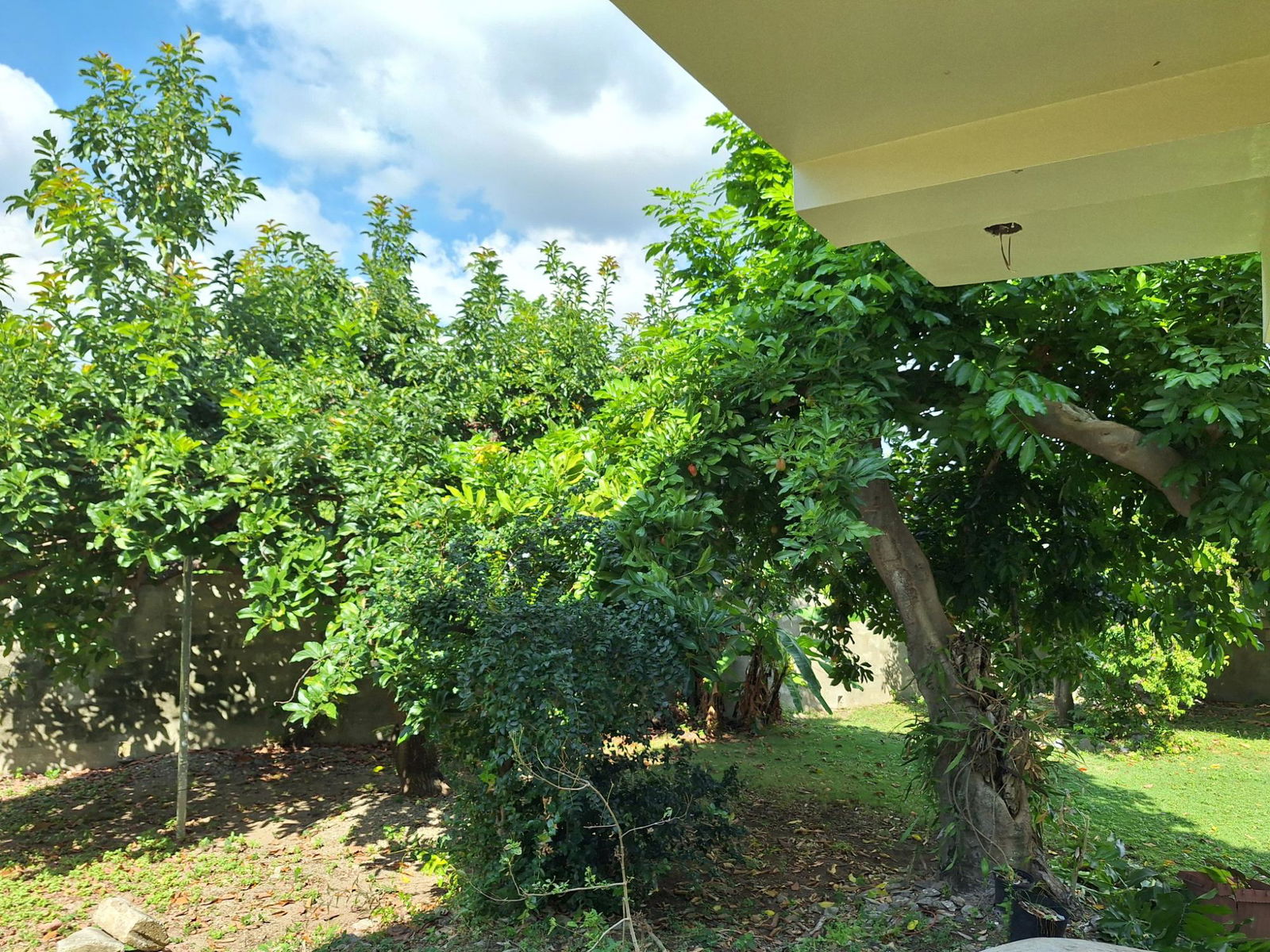 Fourth image of 1 West Vkings House Drive in Kingston 10, St. Andrew, Jamaica - property is For Rent