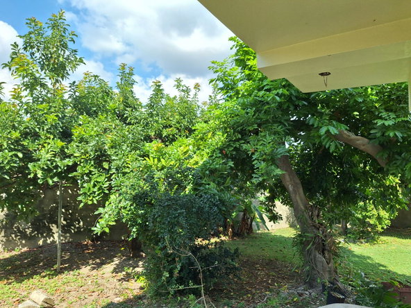 Fourth image of 1 West Vkings House Drive in Kingston 10, St. Andrew, Jamaica - property is For Rent