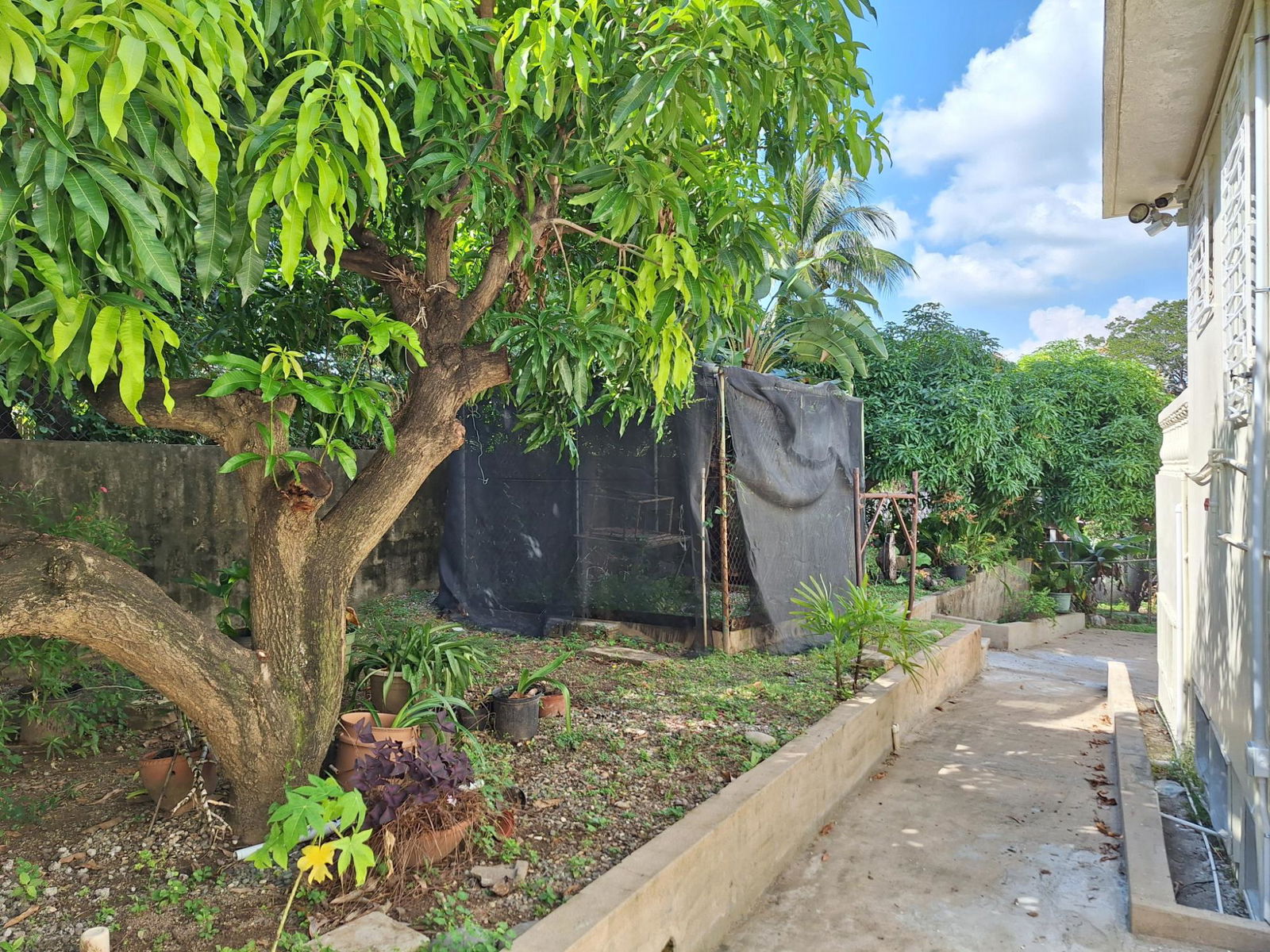 Sixth image of 1 West Vkings House Drive in Kingston 10, St. Andrew, Jamaica - property is For Rent