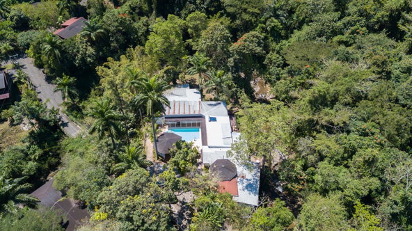 Twenty-Seventh image of B-1 Maryland in Gordon Town P.O., St. Andrew, Jamaica - property is For Rent