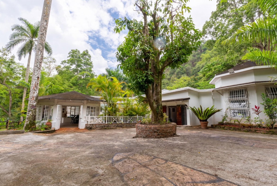 Twenty-Ninth image of B-1 Maryland in Gordon Town P.O., St. Andrew, Jamaica - property is For Rent