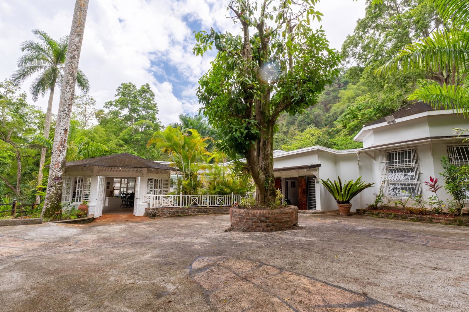 Twenty-Ninth image of B-1 Maryland in Gordon Town P.O., St. Andrew, Jamaica - property is For Rent