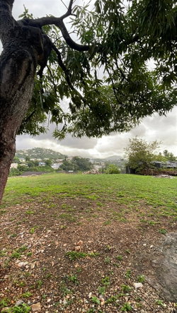 Second image of Montcalm Avenue in Kingston 19, St. Andrew, Jamaica - property is For Rent