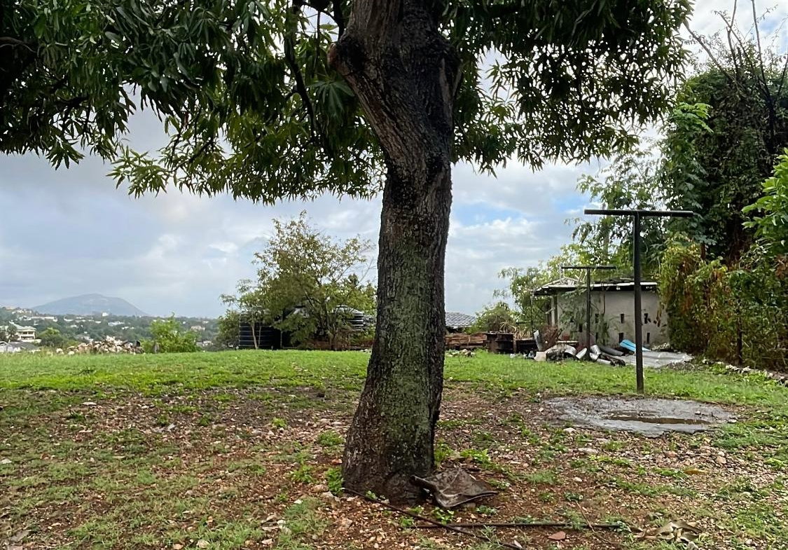 Sixteenth image of Montcalm Avenue in Kingston 19, St. Andrew, Jamaica - property is For Rent