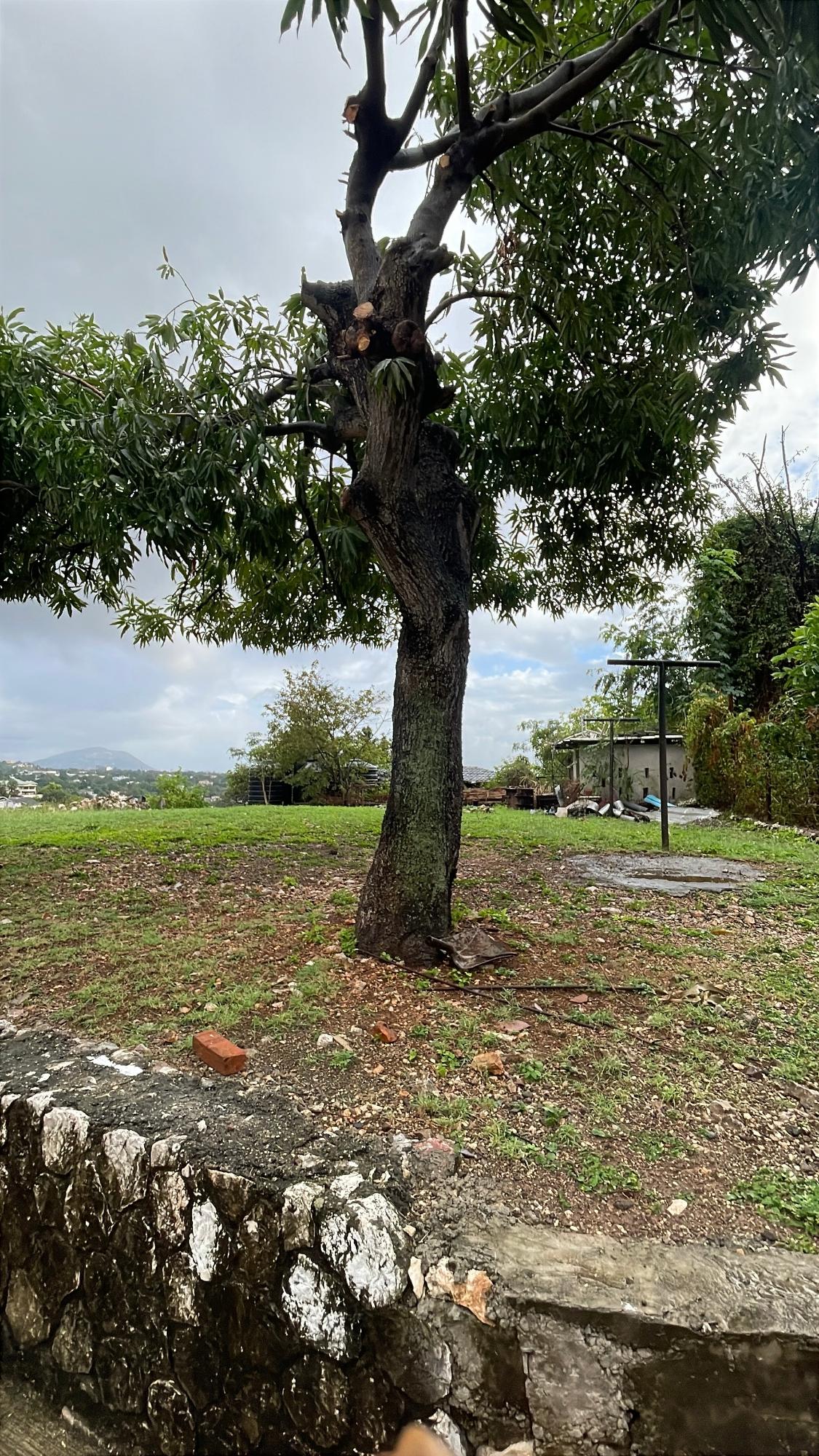 Sixteenth image of Montcalm Avenue in Kingston 19, St. Andrew, Jamaica - property is For Rent