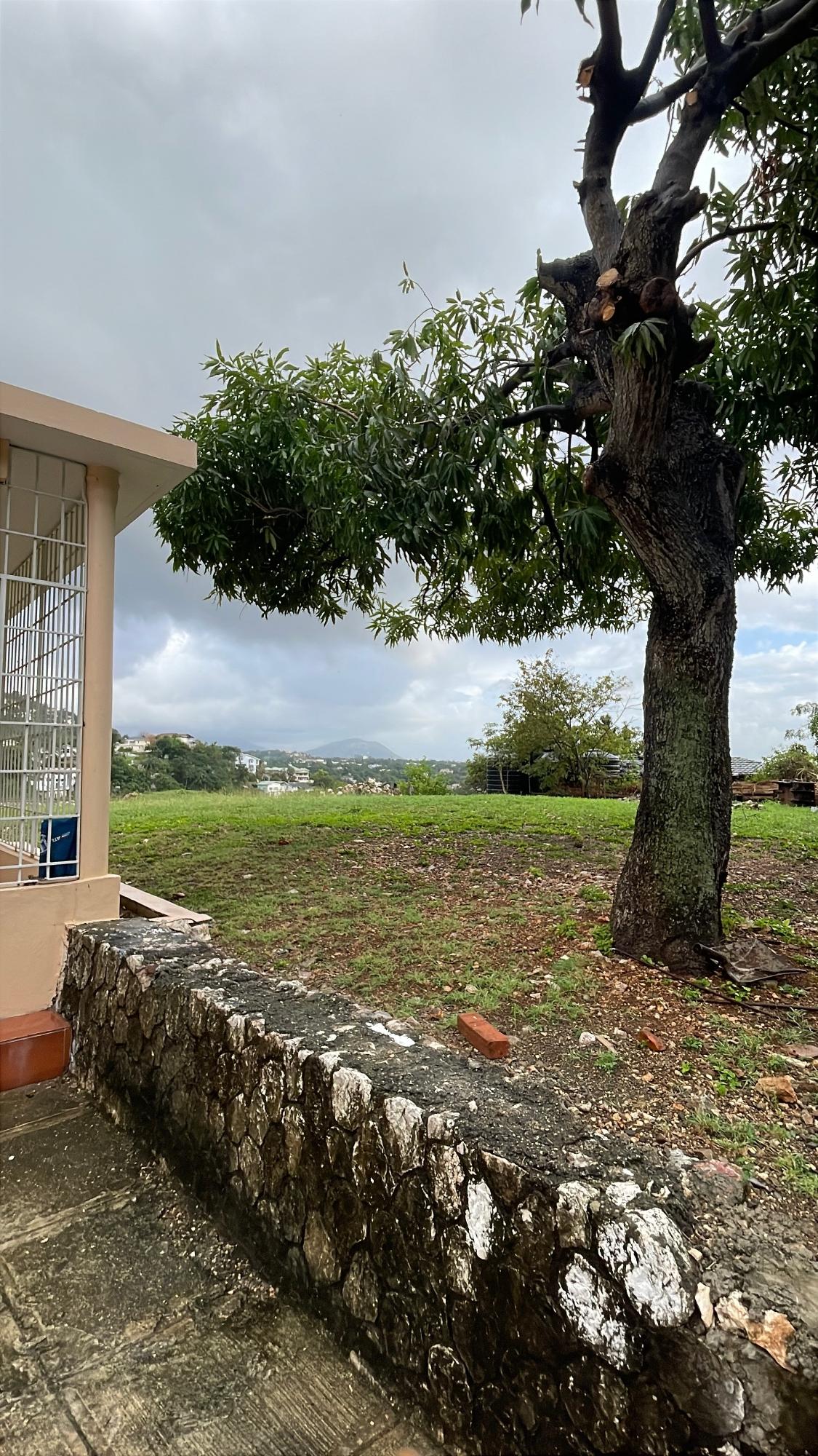 Seventeenth image of Montcalm Avenue in Kingston 19, St. Andrew, Jamaica - property is For Rent