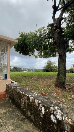 Seventeenth image of Montcalm Avenue in Kingston 19, St. Andrew, Jamaica - property is For Rent