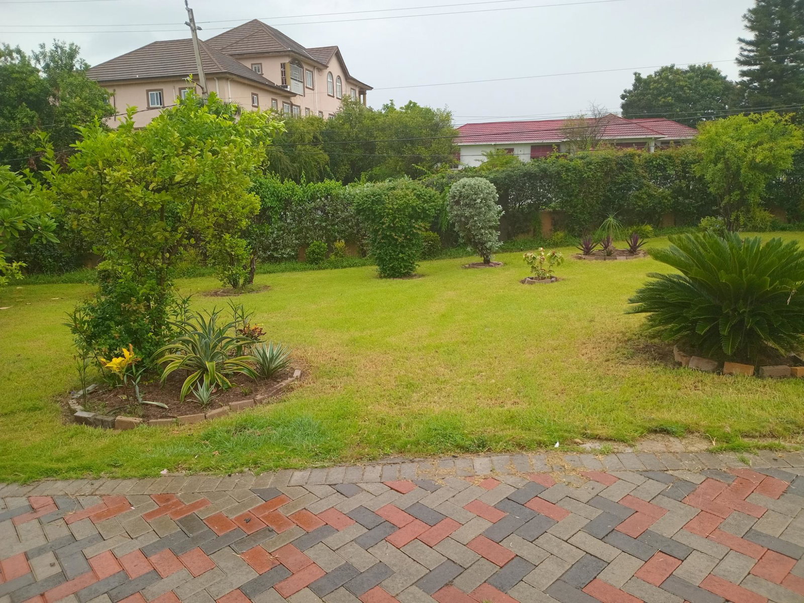 First image of 2 Nicks Avenue in Kingston 6, St. Andrew, Jamaica - property is For Rent