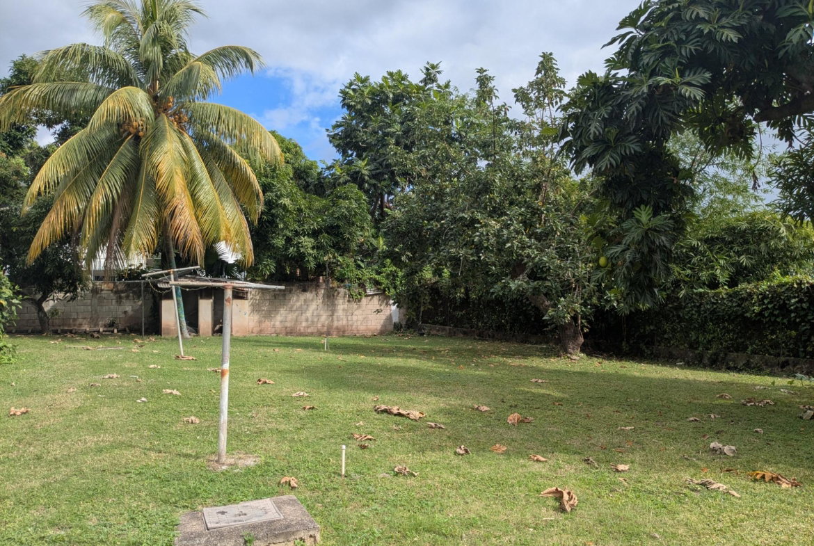 Seventh image of Zizi-28 28 Charlemont Ave in Kingston 6, St. Andrew, Jamaica - property is For Rent