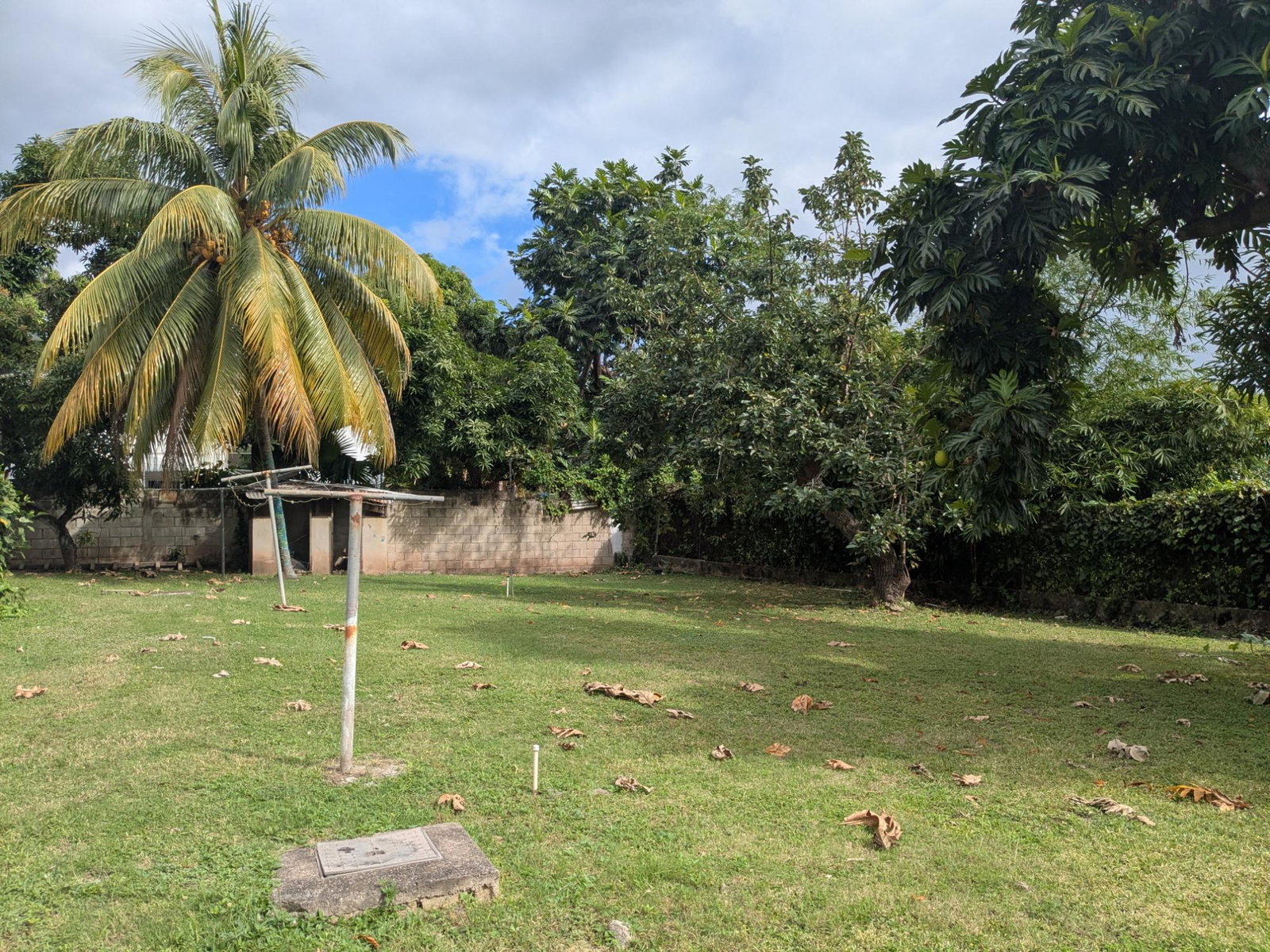 Charming-1-Bedroom-Apartment-for-Rent-in-Kingston-6-–-Zizi-L-28-Charlemont-Avenue Eighth image of Zizi L-28 Charlemont Avenue in Kingston 6, St. Andrew, Jamaica - property is For Rent