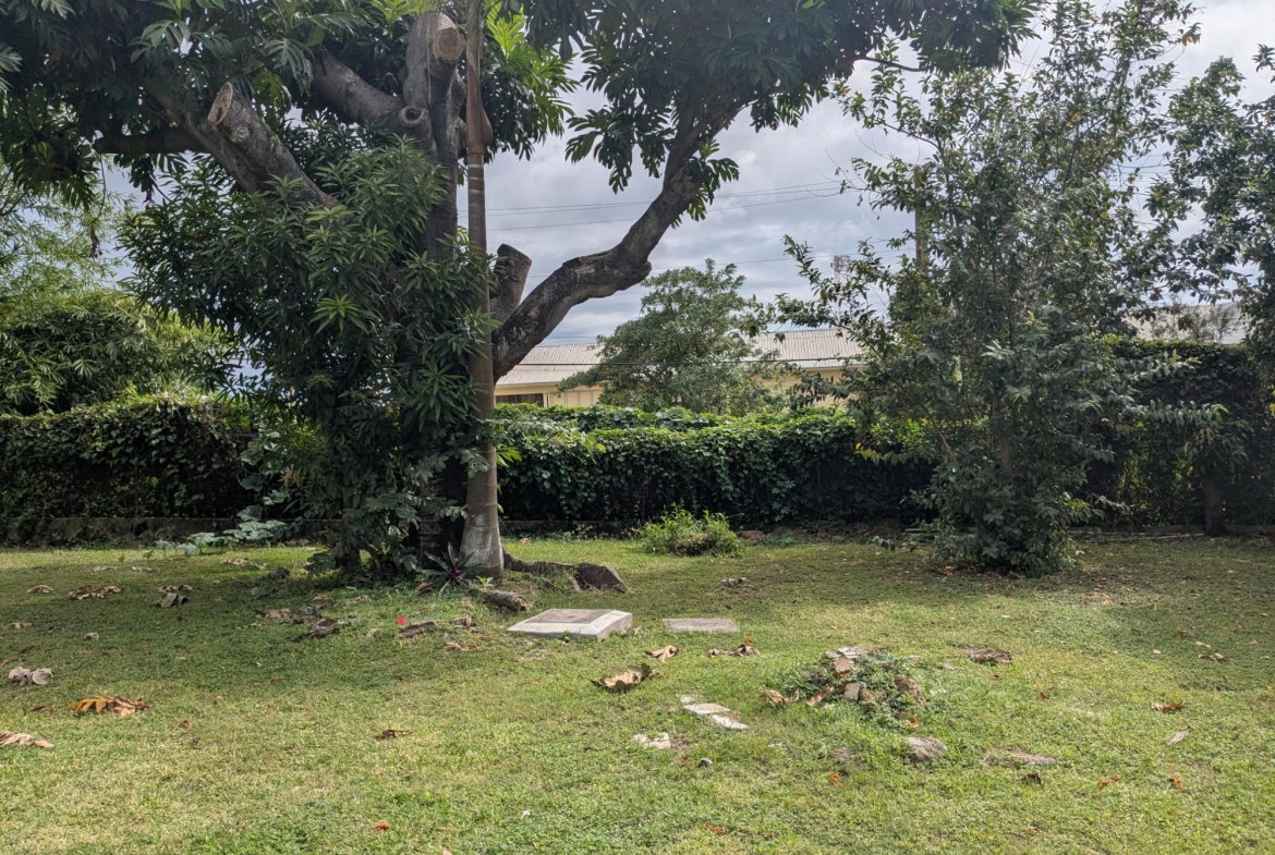 Ninth image of Zizi L-28 Charlemont Avenue in Kingston 6, St. Andrew, Jamaica - property is For Rent