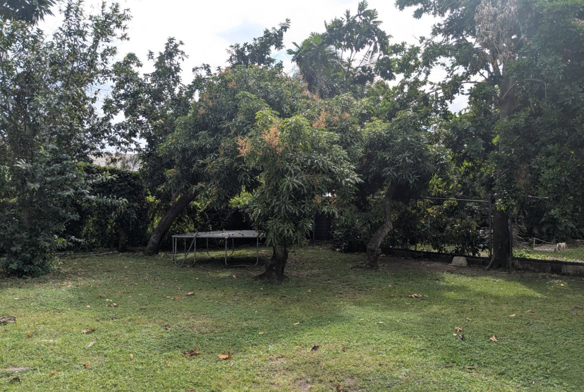 Tenth image of Zizi L-28 Charlemont Avenue in Kingston 6, St. Andrew, Jamaica - property is For Rent