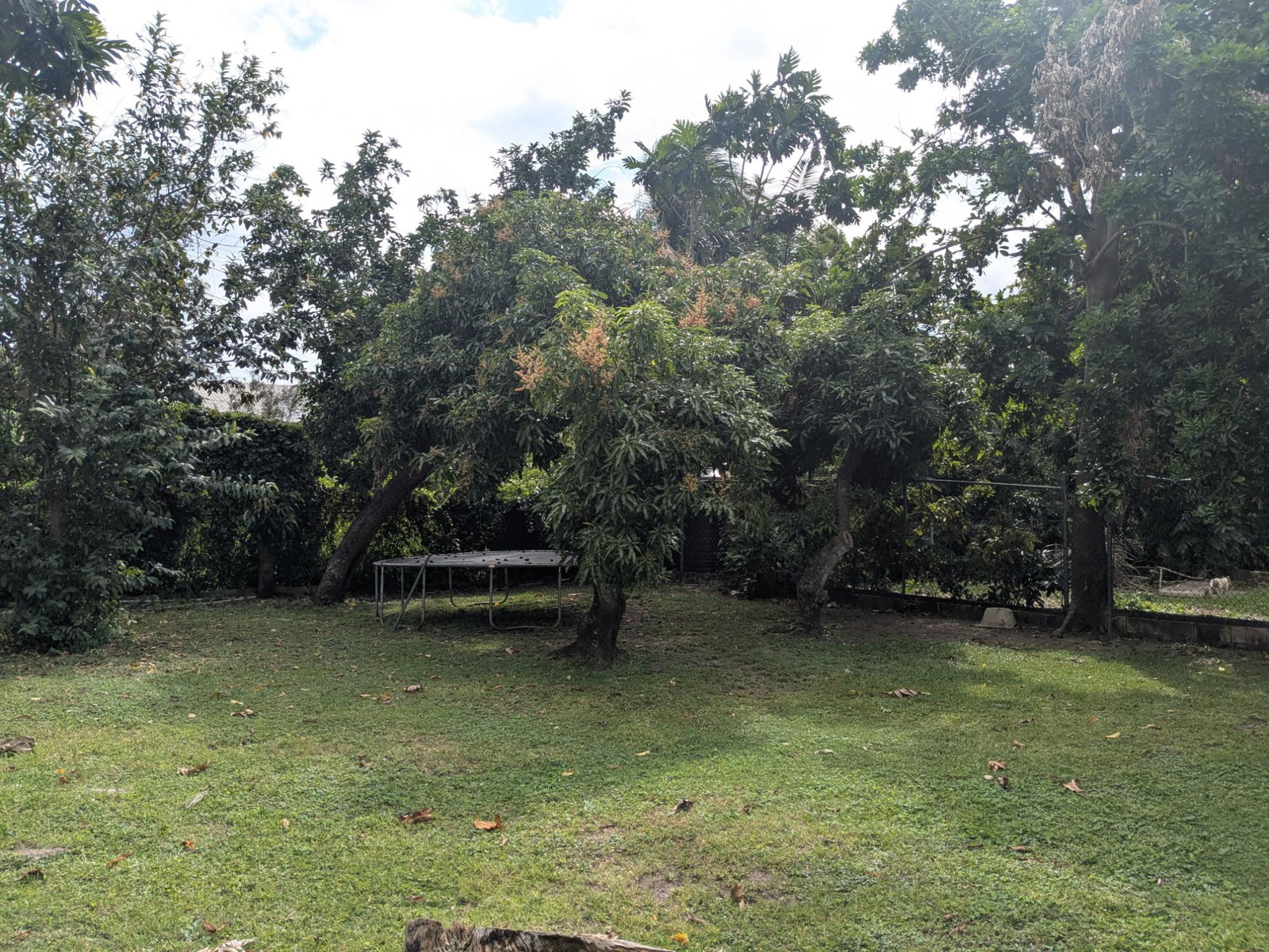 Charming-1-Bedroom-Apartment-for-Rent-in-Kingston-6-–-Zizi-L-28-Charlemont-Avenue Tenth image of Zizi L-28 Charlemont Avenue in Kingston 6, St. Andrew, Jamaica - property is For Rent