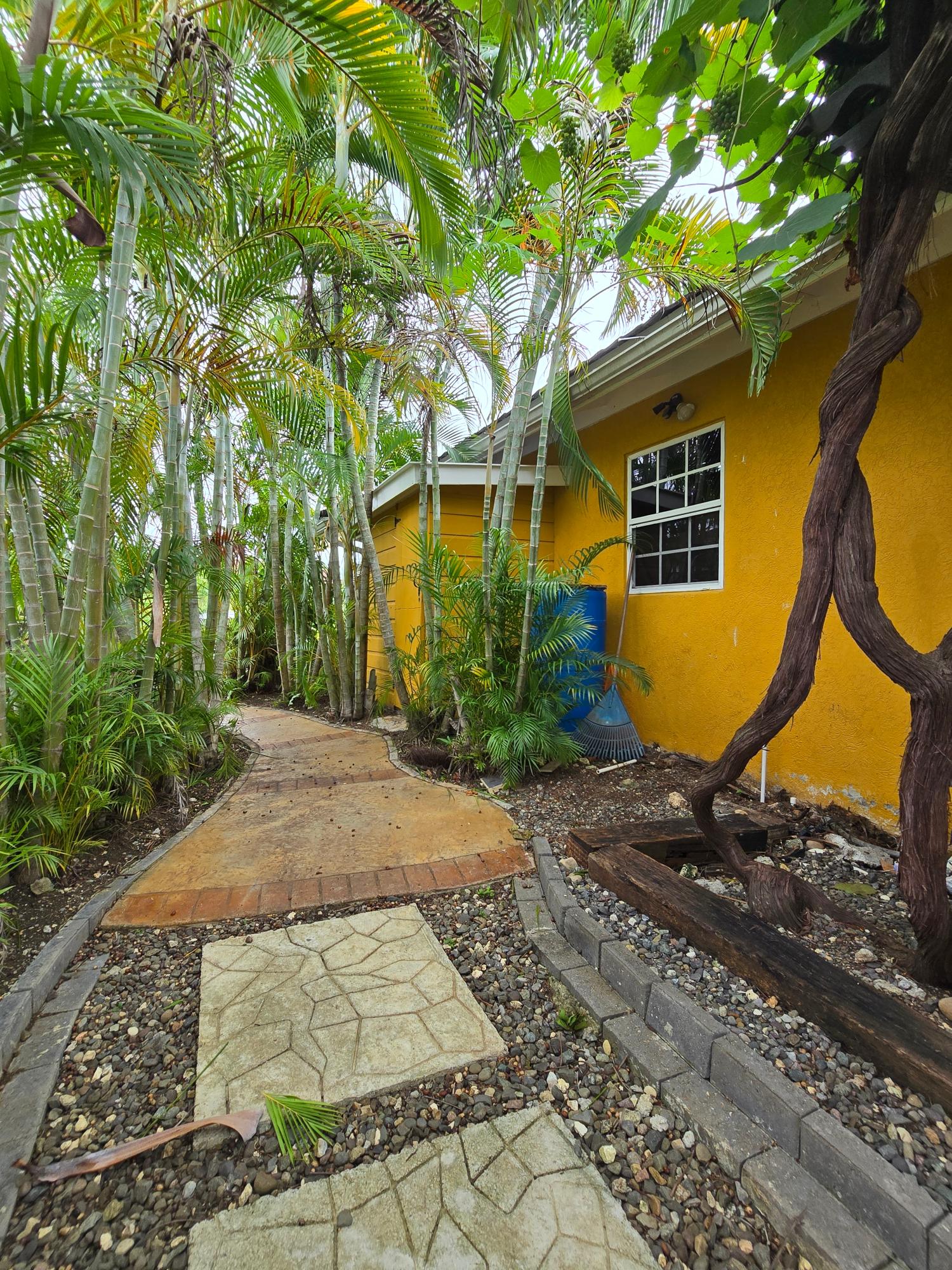 Twenty-Fourth image of 145 Cedar Cres. Drax Hall Cou in Drax Hall Estate, St. Ann, Jamaica - property is For Rent