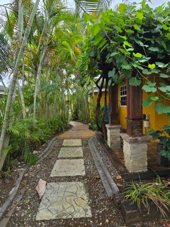 Twenty-Sixth image of 145 Cedar Cres. Drax Hall Cou in Drax Hall Estate, St. Ann, Jamaica - property is For Rent