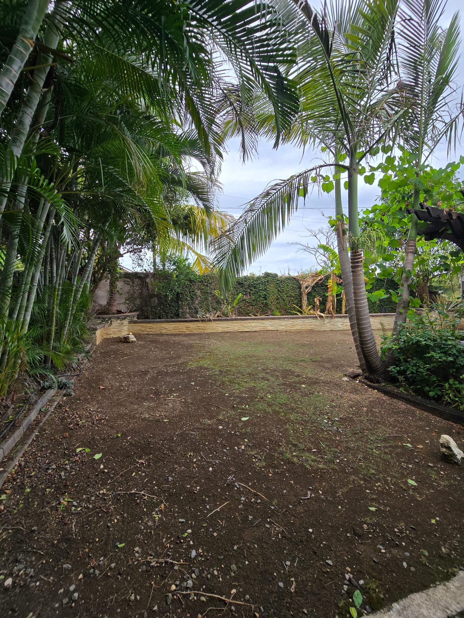 Twenty-Ninth image of 145 Cedar Cres. Drax Hall Cou in Drax Hall Estate, St. Ann, Jamaica - property is For Rent