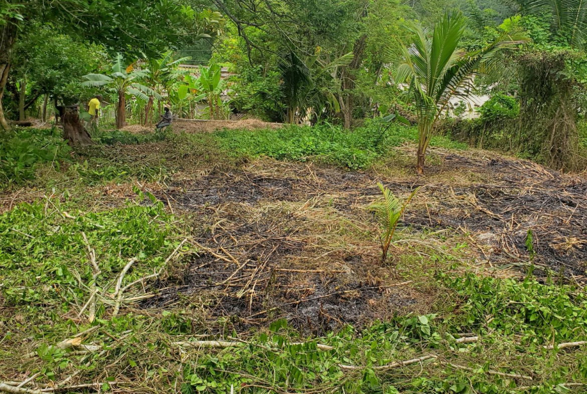 Ninth image of 31 Hyde & Gibraltar, Kinloss in Clarks Town, Trelawny, Jamaica - property is For Sale