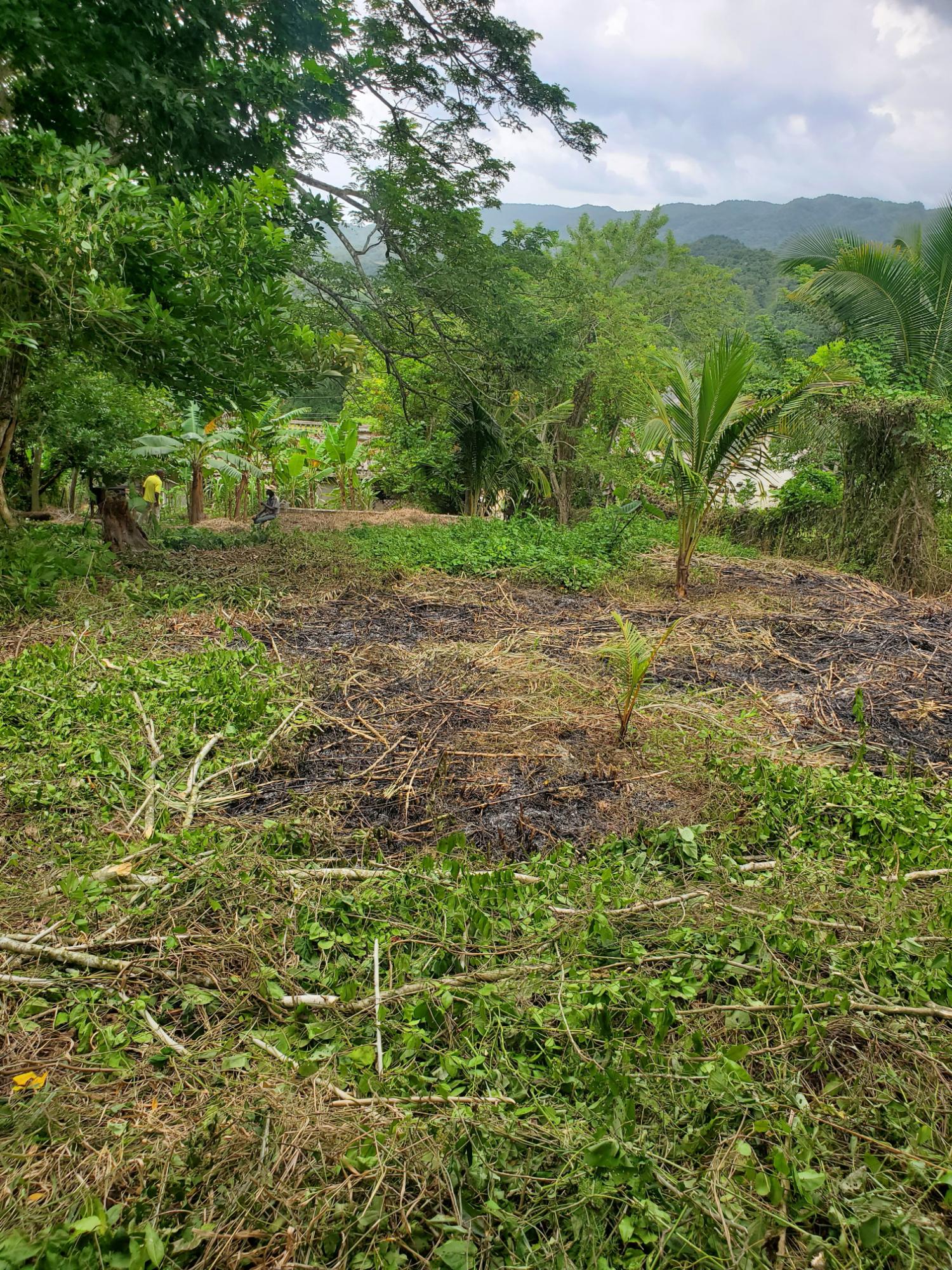 Ninth image of 31 Hyde & Gibraltar, Kinloss in Clarks Town, Trelawny, Jamaica - property is For Sale
