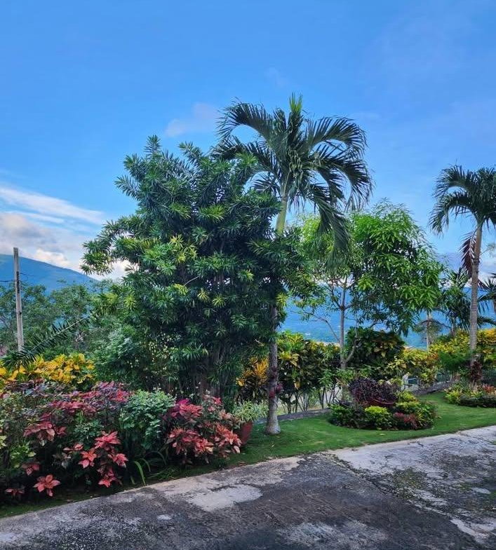 Twenty-Fifth image of 17 Research Terrace in Battersea, Manchester, Jamaica - property is For Rent