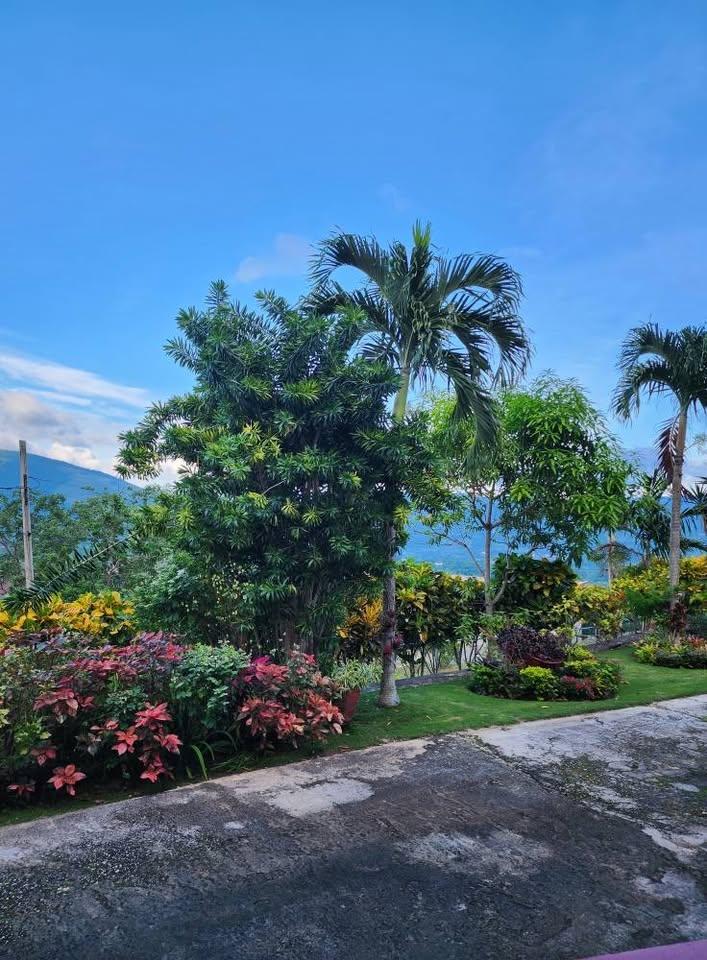 Twenty-Fifth image of 17 Research Terrace in Battersea, Manchester, Jamaica - property is For Rent