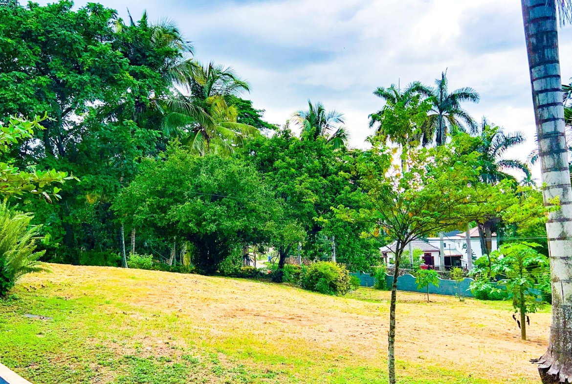 Twentieth image of 42 Unity Hall|daniela Drive in Unity Hall, St. James, Jamaica - property is For Rent