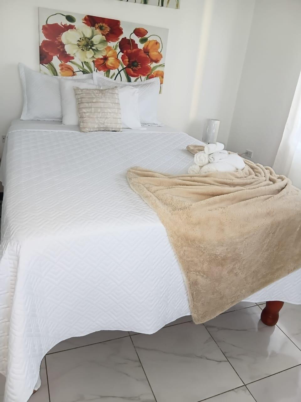 Fully-Furnished-2-Bedroom-Condo-for-Rent-in-Black-River-St.-Elizabeth-Jamaica Fifth image of A102 Spring Park in Black River, St. Elizabeth, Jamaica - property is For Rent