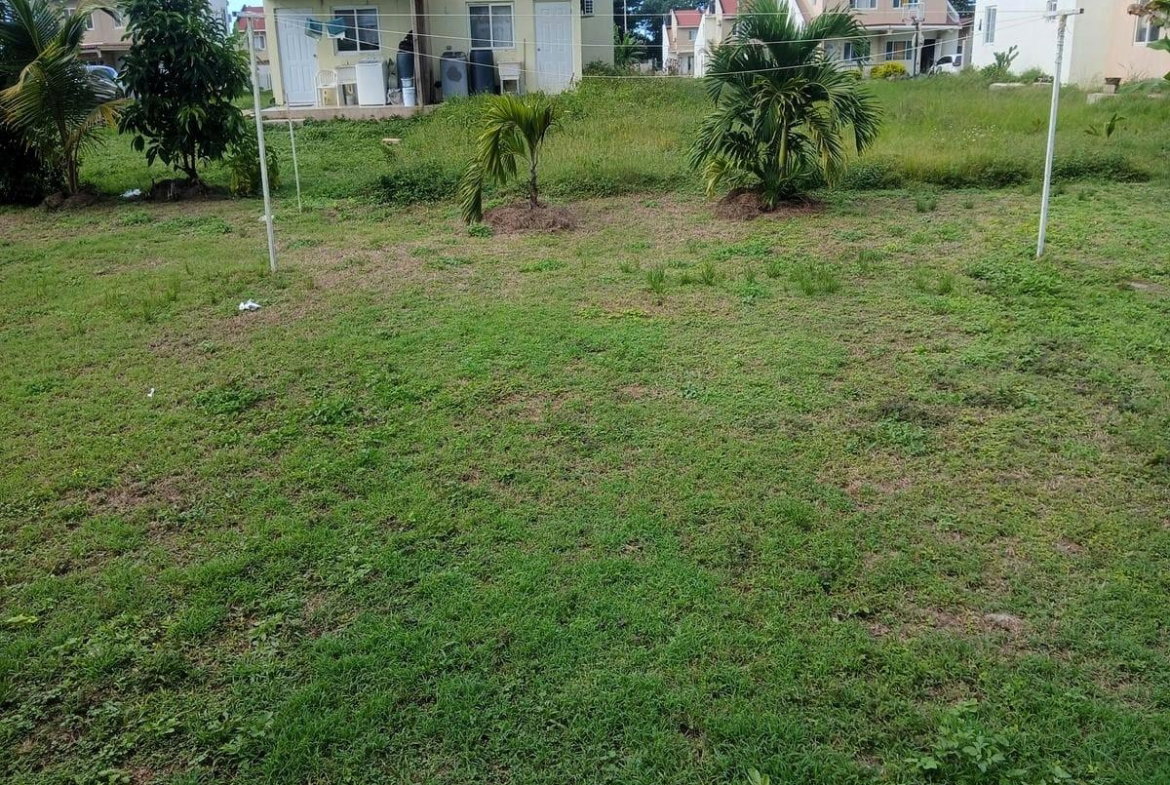 Ninth image of 49- Industry Manor in Green Island, Hanover, Jamaica - property is For Rent