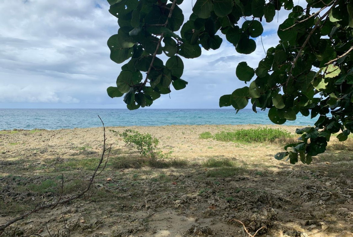 Tenth image of 49- Industry Manor in Green Island, Hanover, Jamaica - property is For Rent