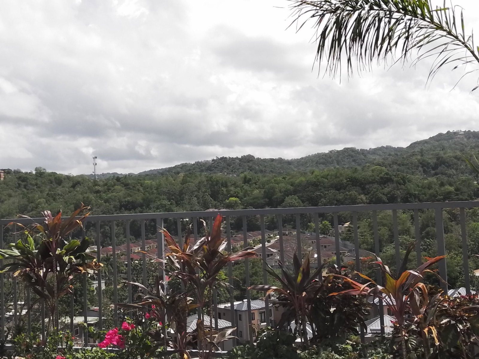 Thirteenth image of 63- Ocho Rios Country Club in Ocho Rios, St. Ann, Jamaica - property is For Rent