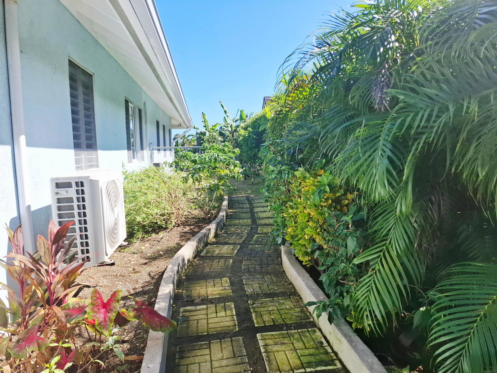 Third image of Mango Walk, Coolshade in Richmond, St. Ann, Jamaica - property is For Rent