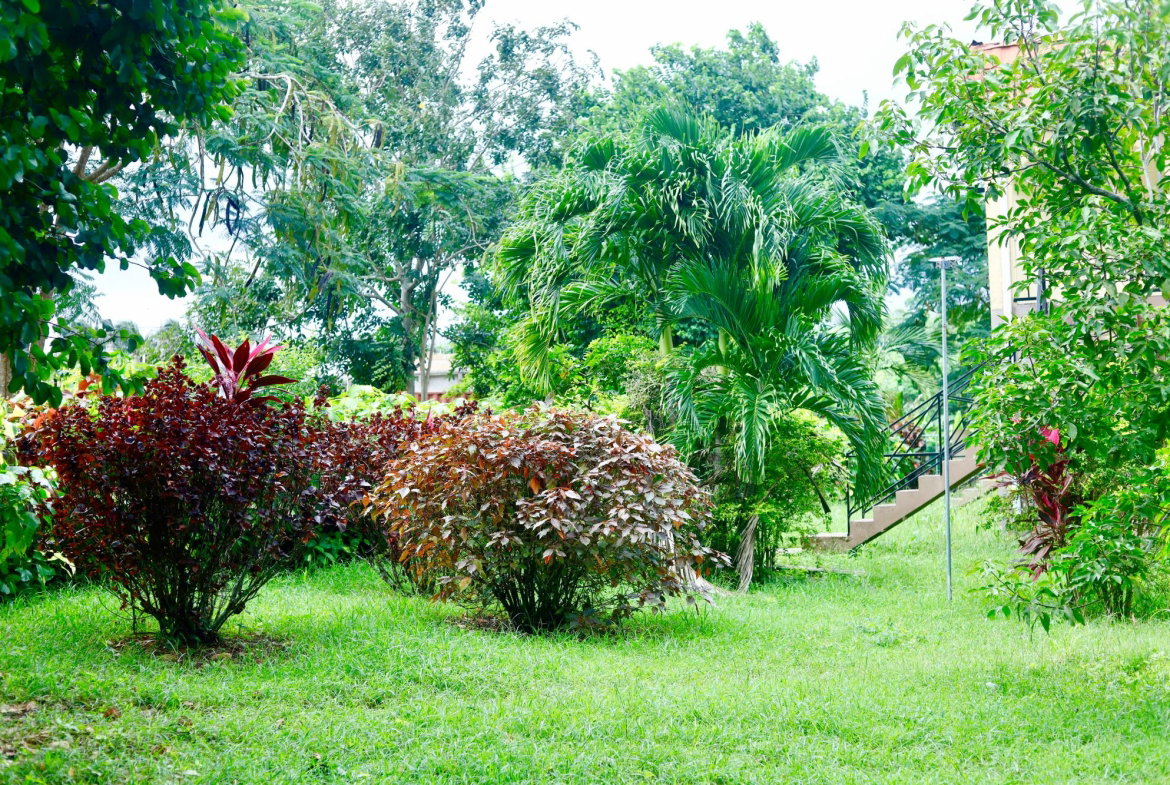 Fifth image of 6-172 & 173 Whitehall Estates in Highgate, St. Mary, Jamaica - property is For Rent