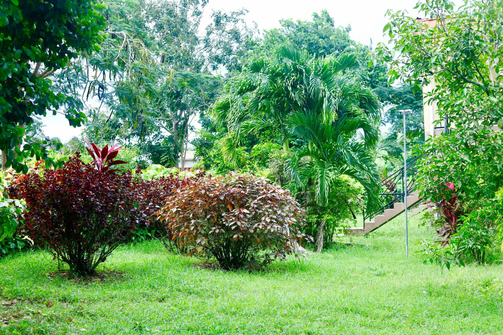 Furnished-Studio-Apartment-for-Rent-in-St.-Mary-Jamaica-The-Haven Fifth image of 6-172 & 173 Whitehall Estates in Highgate, St. Mary, Jamaica - property is For Rent