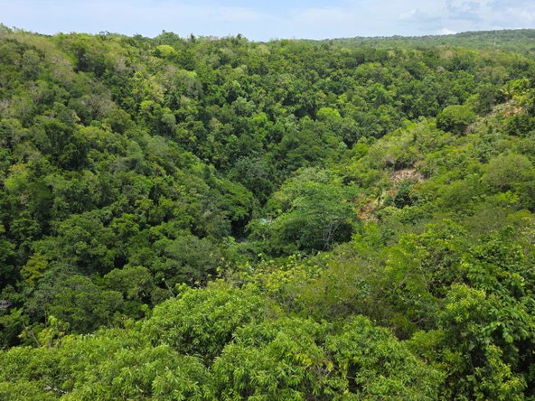 Eleventh image of 5 Prosper Heights, Exchange in Exchange, St. Ann, Jamaica - property is For Rent