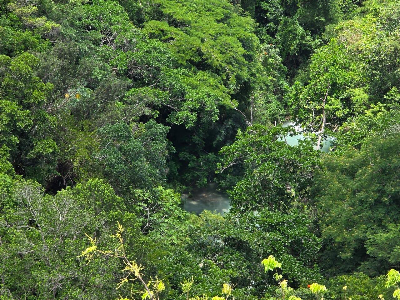 Tenth image of 5 Prosper Heights, Exchange in Exchange, St. Ann, Jamaica - property is For Rent