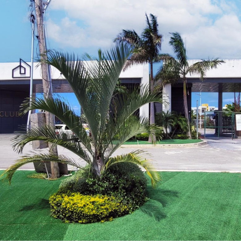 First image of 290- Paraddisiac Beach Club in Richmond, St. Ann, Jamaica - property is For Rent
