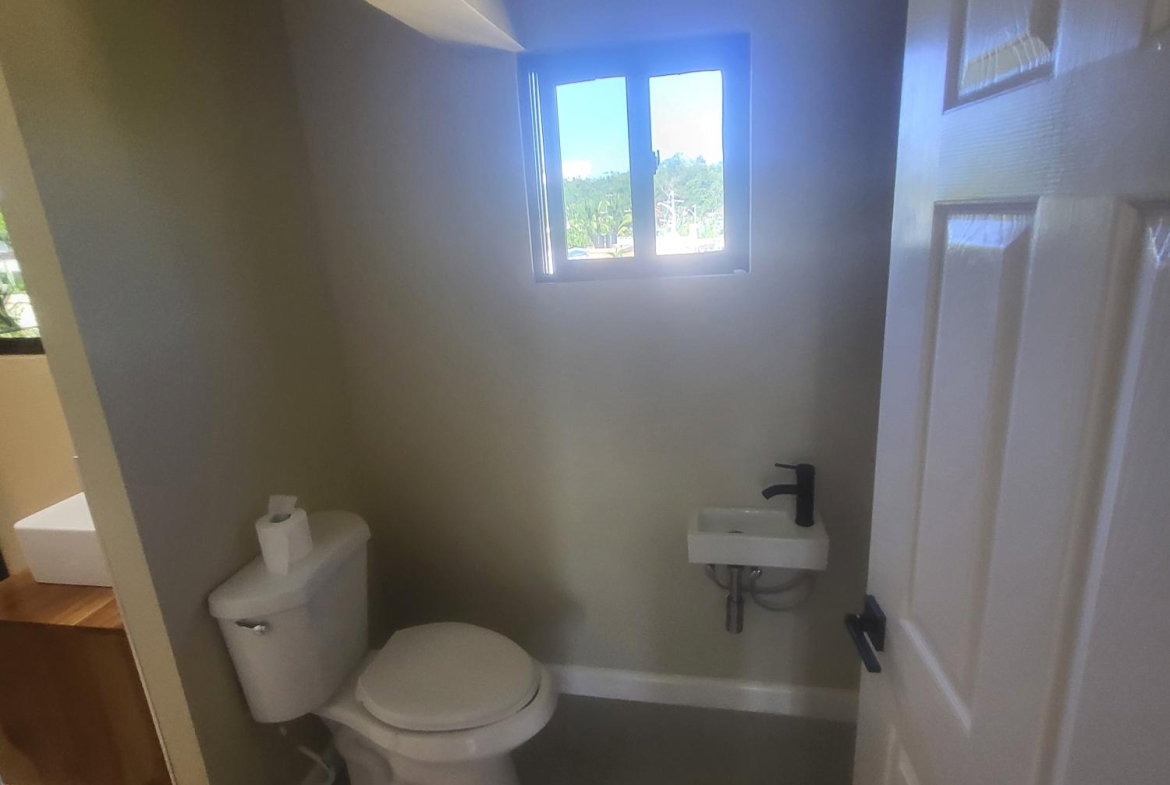 Twelfth image of 451 Winchester Estate, Cave v in Cave Valley, Hanover, Jamaica - property is For Rent