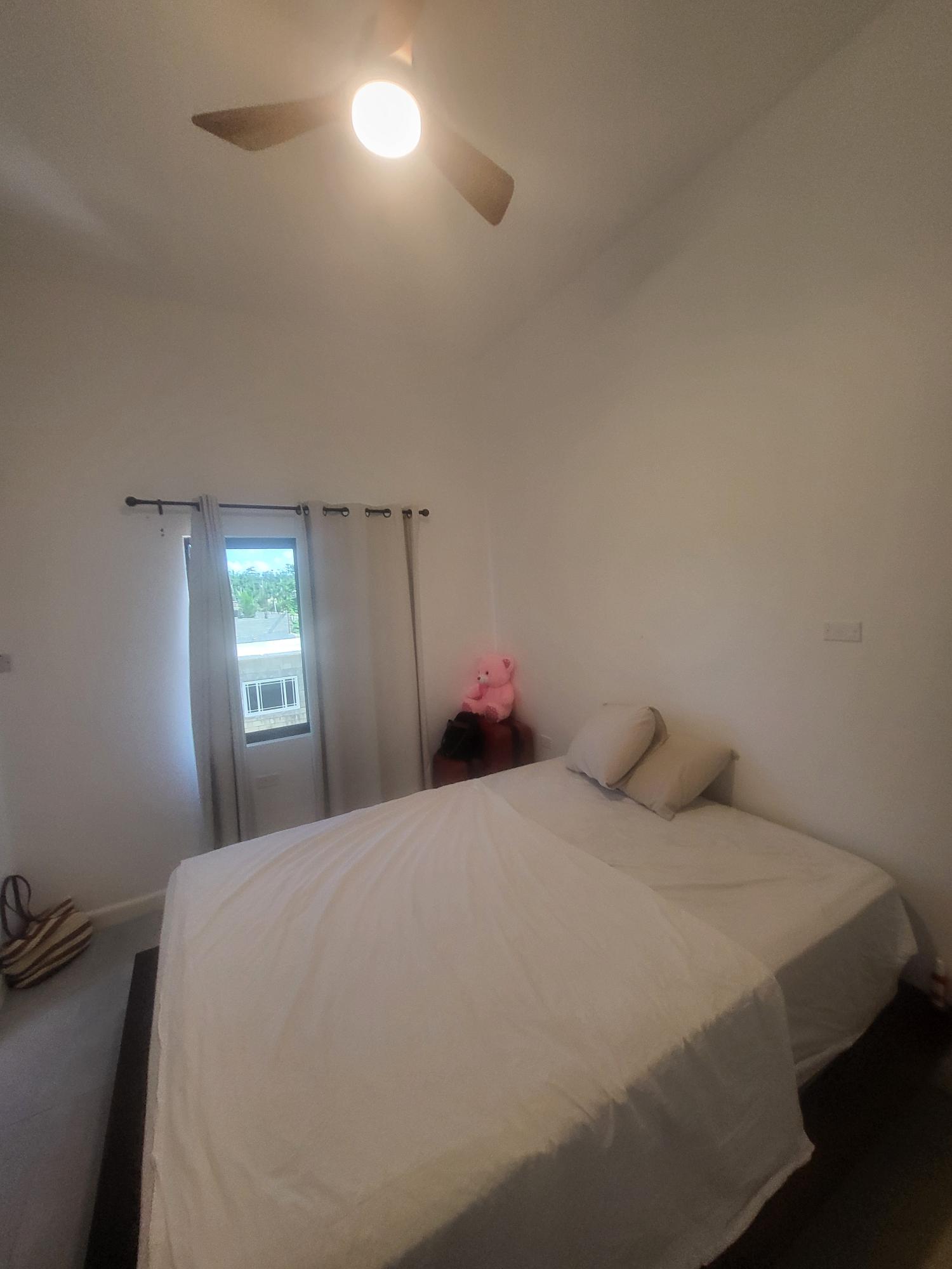 Fifteenth image of 451 Winchester Estate, Cave v in Cave Valley, Hanover, Jamaica - property is For Rent