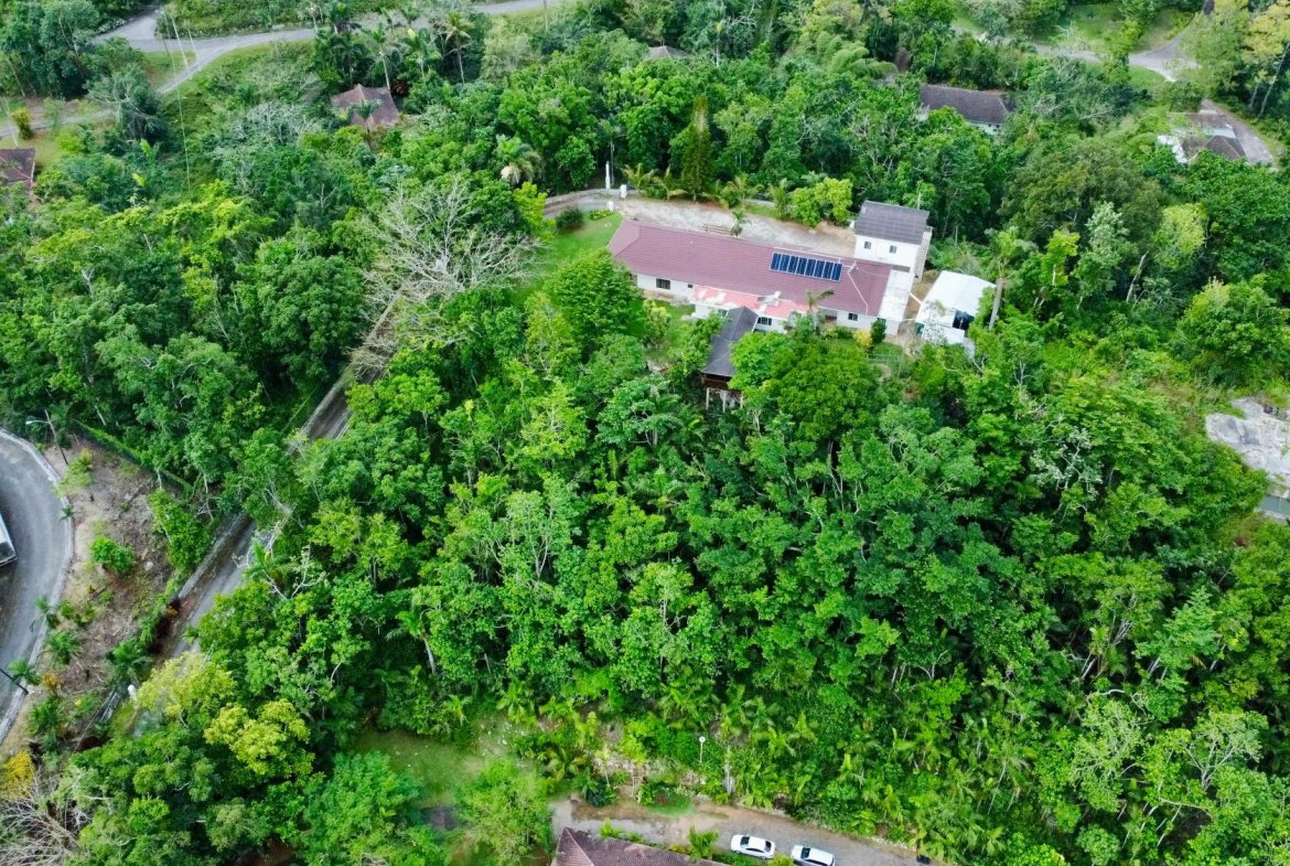 Third image of Lot #34 Bloomfield, Mandeville in Mandeville, Manchester, Jamaica - property is For Rent