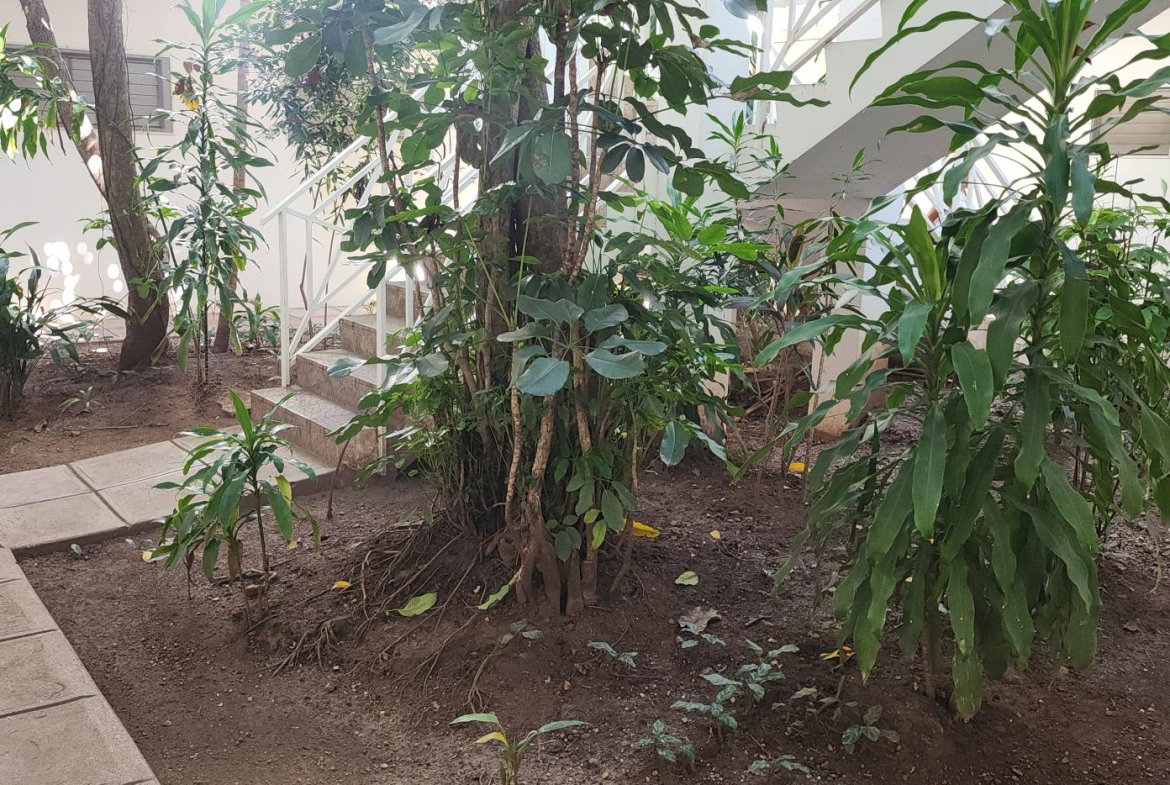 Fifteenth image of 7-8-10 Upper Braemar Ave in Kingston 5, St. Andrew, Jamaica - property is For Rent