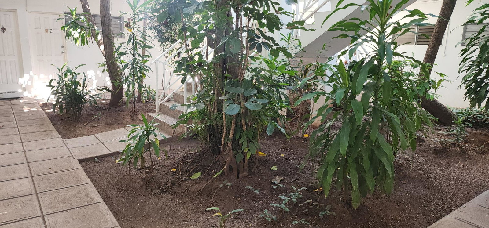 Modern-1-Bedroom-Apartment-for-Rent-in-New-Kingston-St.-Andrew Fifteenth image of 7-8-10 Upper Braemar Ave in Kingston 5, St. Andrew, Jamaica - property is For Rent