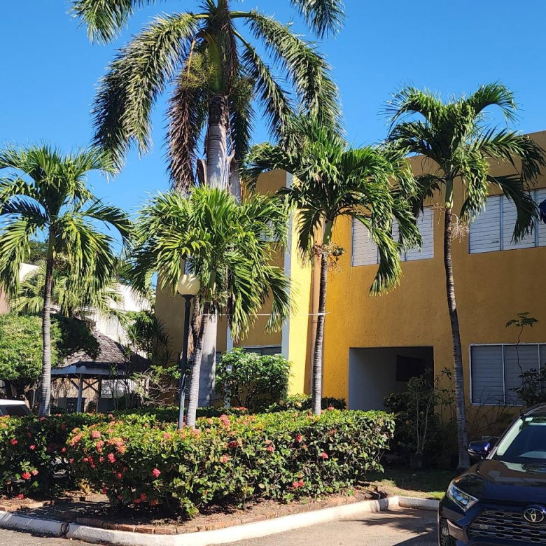 First image of 7-8-10 Upper Braemar Ave in Kingston 5, St. Andrew, Jamaica - property is For Rent