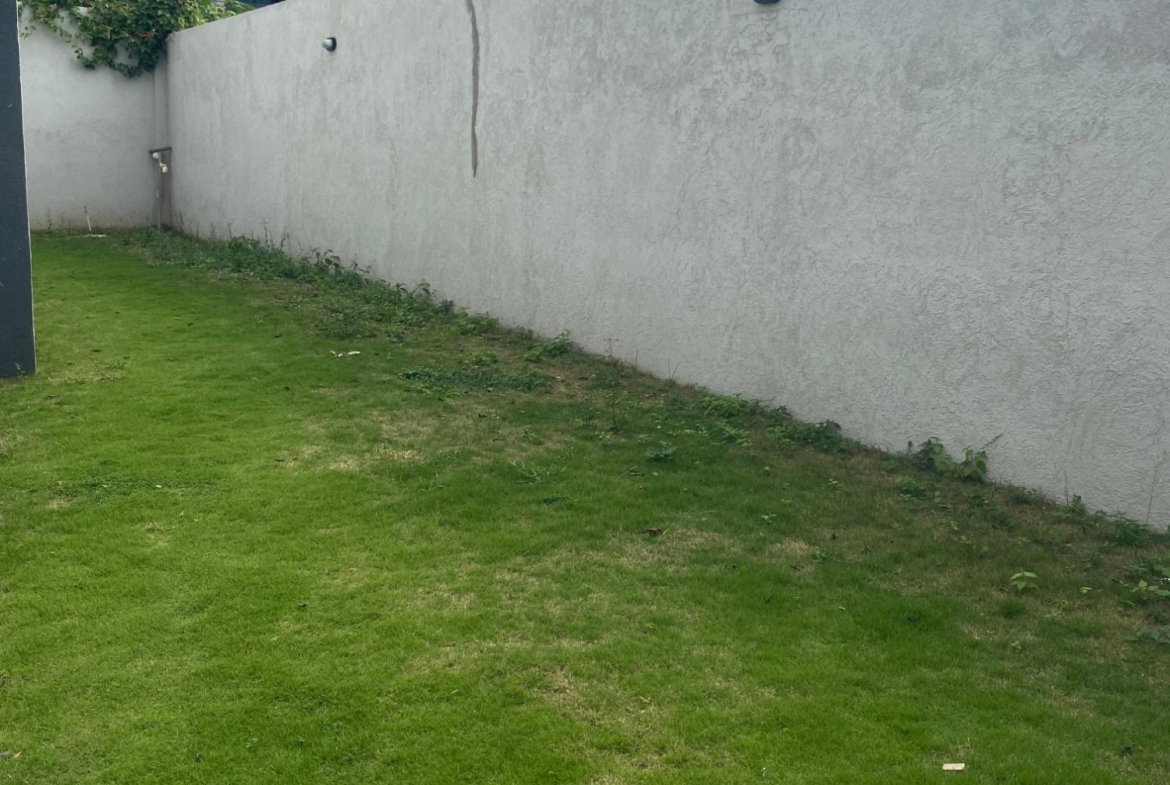 Twenty-Fourth image of 2-9 Halifax Avenue in Kingston 6, St. Andrew, Jamaica - property is For Rent