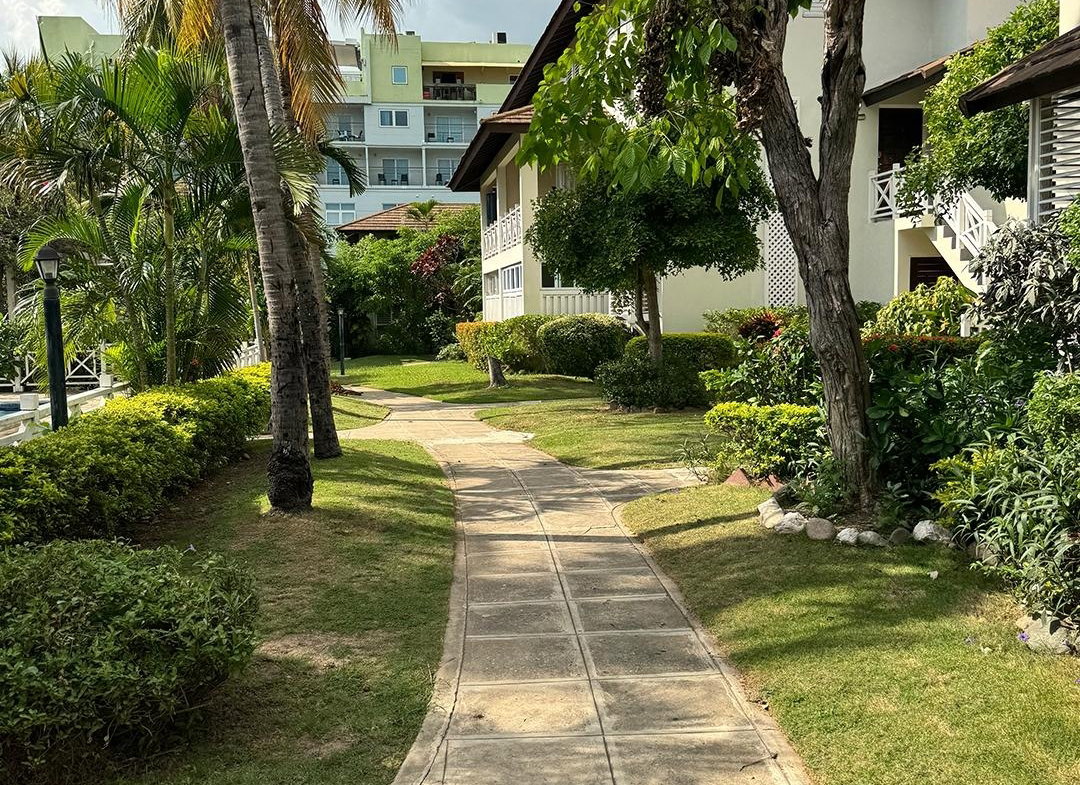Sixteenth image of 34-4-12 Renfrew Road in Kingston 5, St. Andrew, Jamaica - property is For Rent