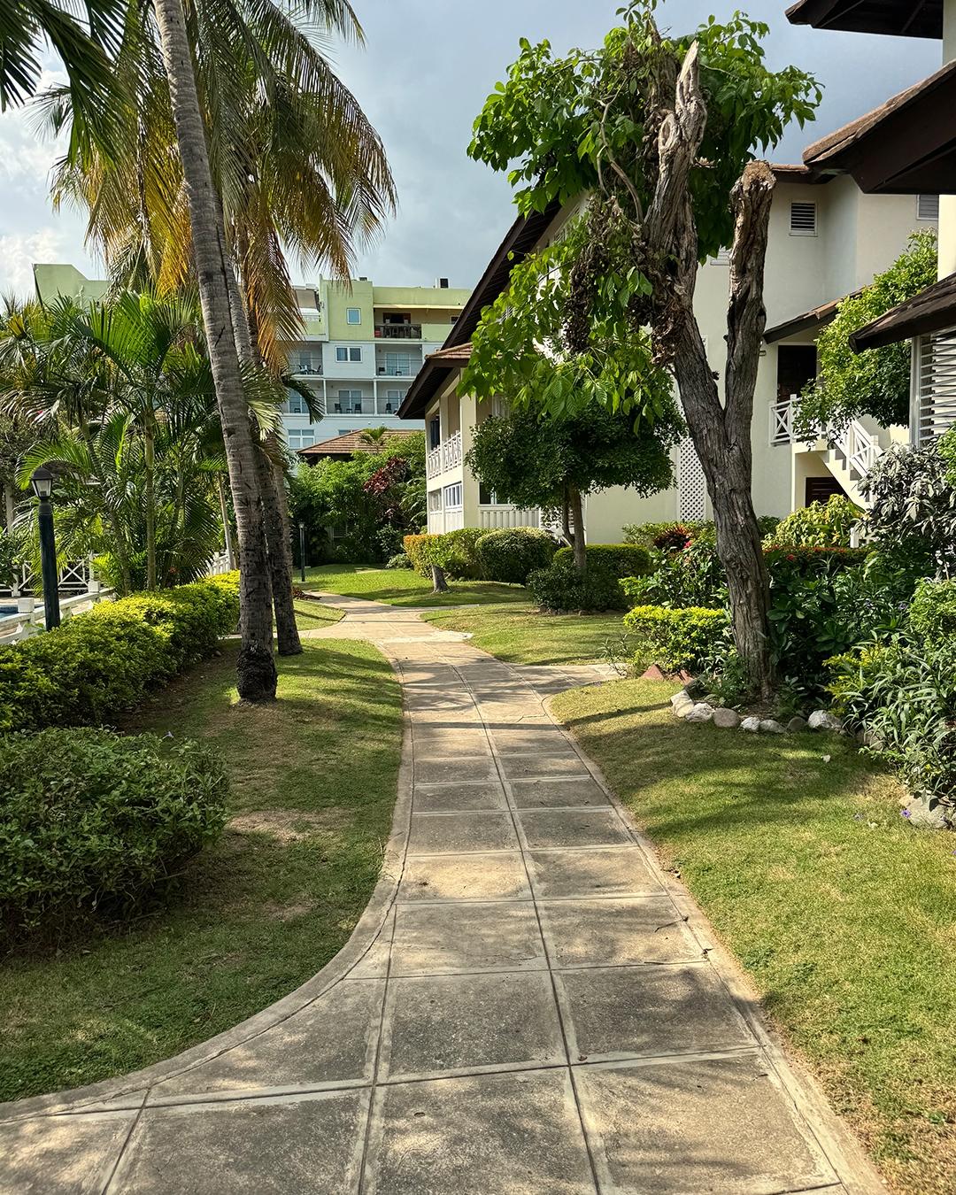 Sixteenth image of 34-4-12 Renfrew Road in Kingston 5, St. Andrew, Jamaica - property is For Rent