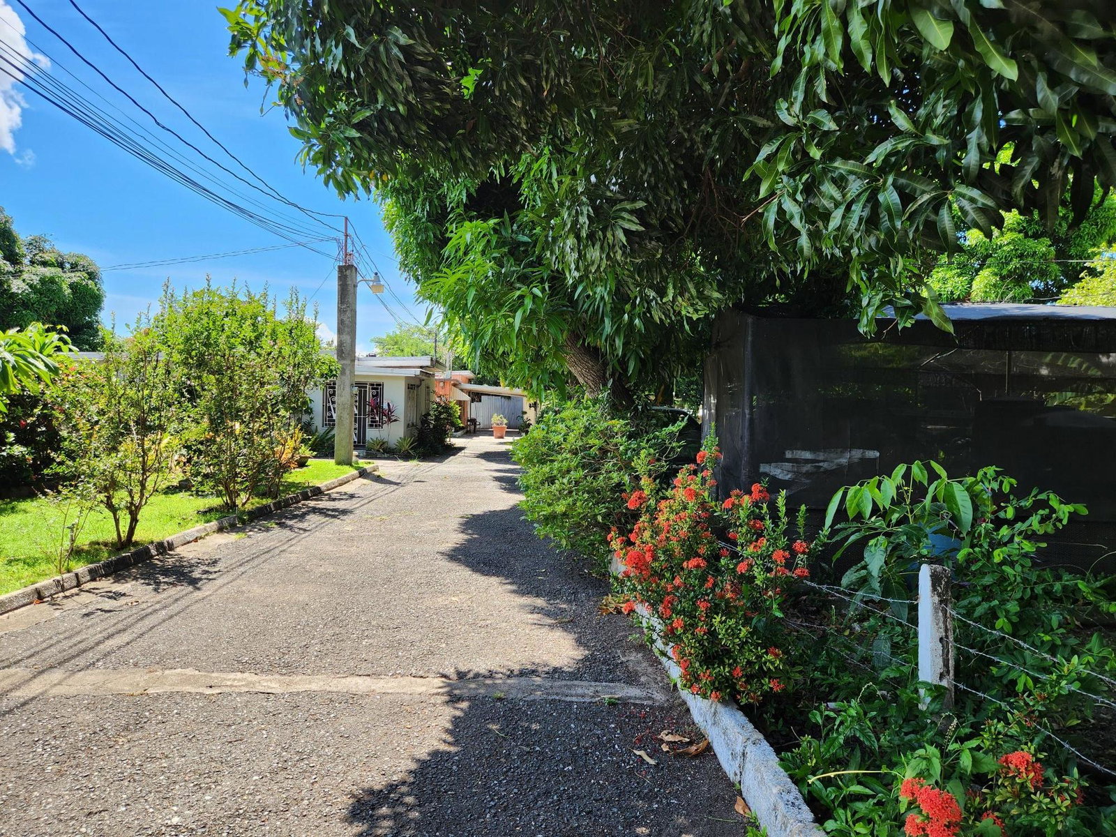 Seventh image of Papine Market Road in Kingston 7, St. Andrew, Jamaica - property is For Sale