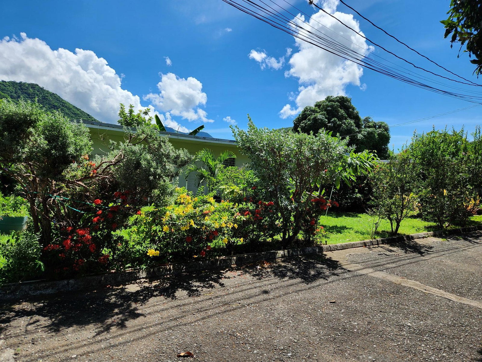 Eighth image of Papine Market Road in Kingston 7, St. Andrew, Jamaica - property is For Sale