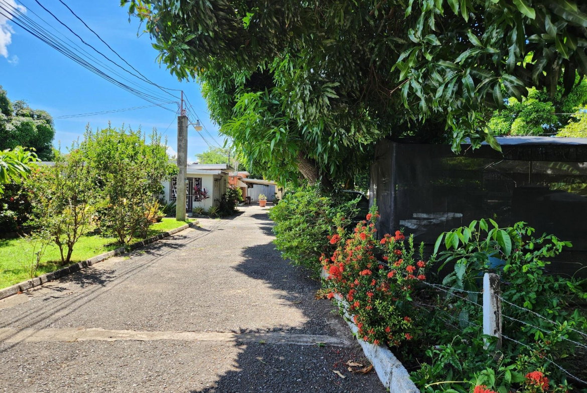 Ninth image of Papine Market Road in Kingston 7, St. Andrew, Jamaica - property is For Sale